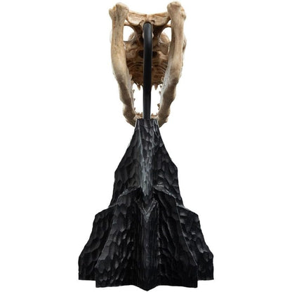 Lotr - Skull Of A Fell Beast Polystone Statue