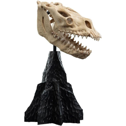 Lotr - Skull Of A Fell Beast Polystone Statue
