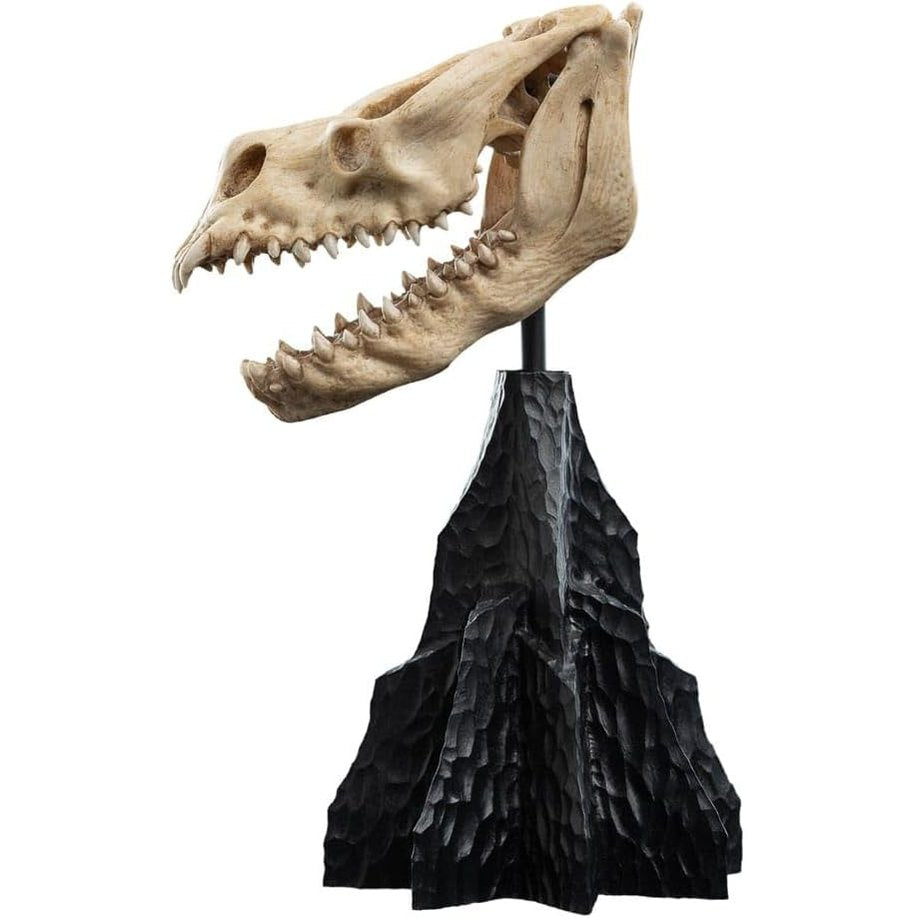 Lotr - Skull Of A Fell Beast Polystone Statue