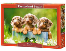Castorland 500 Piece Jigsaw Puzzles, Cute Dachshunds, Animal Puzzle, Dogs, Puppies, Adult Puzzle, Castorland B-53605