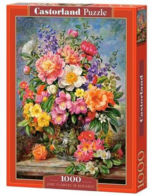 Castorland 1000 Piece Jigsaw Puzzle, June Flowers in Radiance, Flower and Plants Puzzle, Painting Puzzle, Adult Puzzles, Castorland C-103904-2