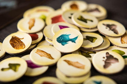 Above And Below - Cats In Hat Inc.