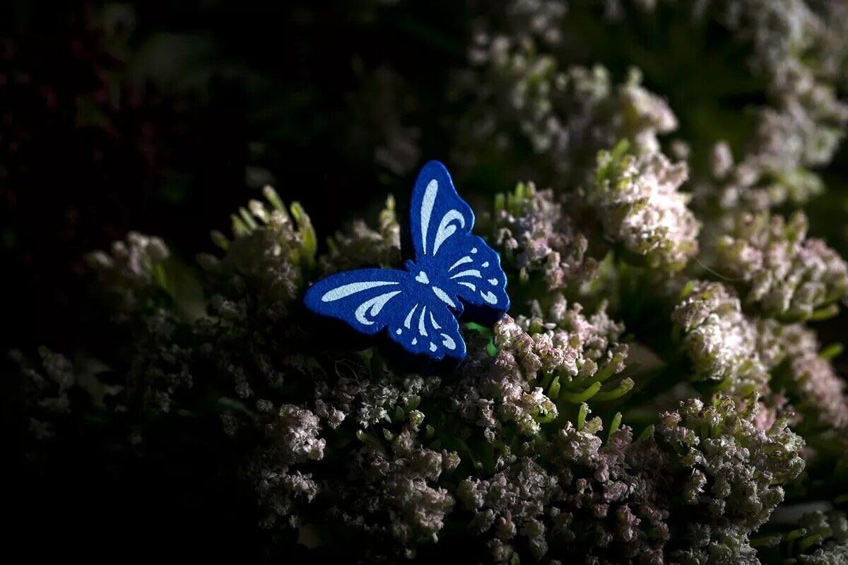 Evolution: Butterfly Effect