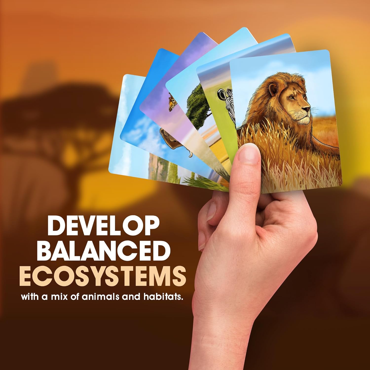 Ecosystem: Savanna