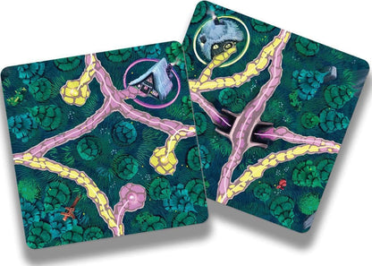 Fairy Trails - Cats In Hat Inc.