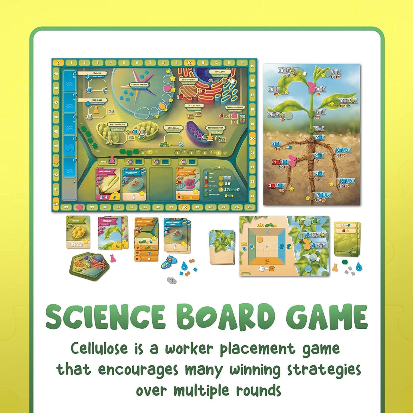 Cellulose: A Plant Cell Biology Game - Cats In Hat Inc.