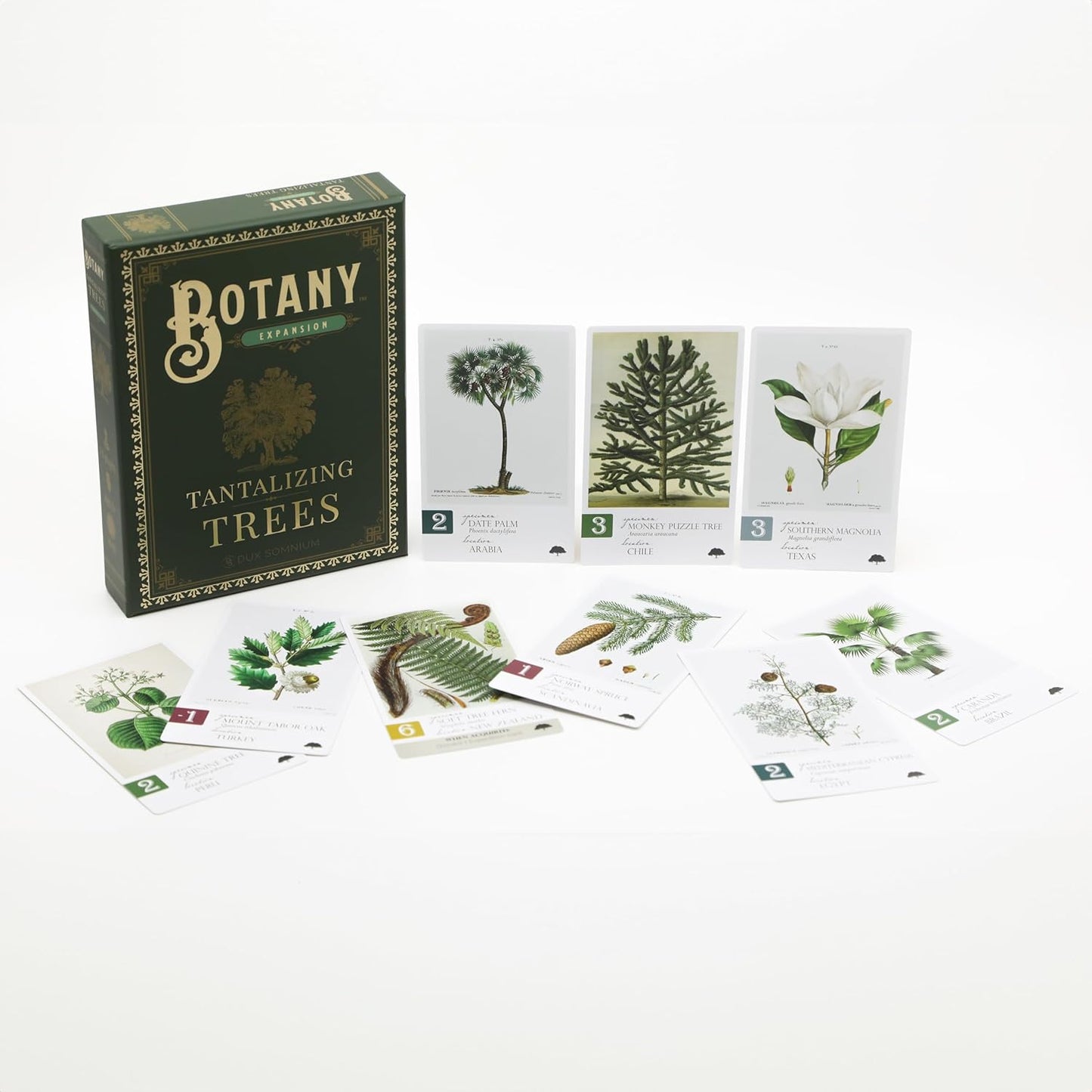 Botany: Tantalizing Trees Expansion - Cats In Hat Inc.