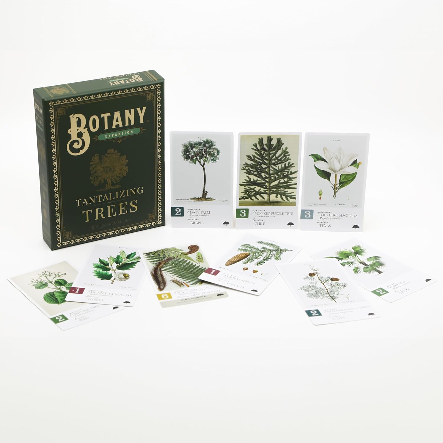 Botany: Tantalizing Trees Expansion