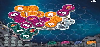 Lumicora - Cats In Hat Inc.