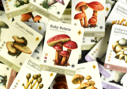 Mycelia By Kids Table Board Gaming