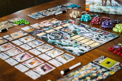 The Fox Experiment - Cats In Hat Inc.