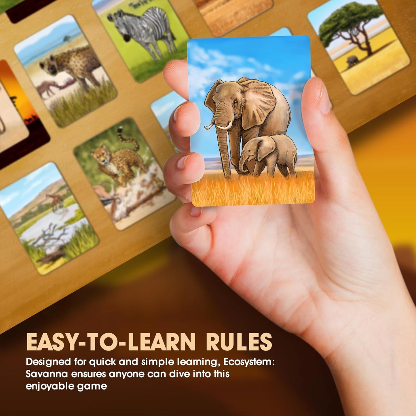 Ecosystem: Savanna - Cats In Hat Inc.