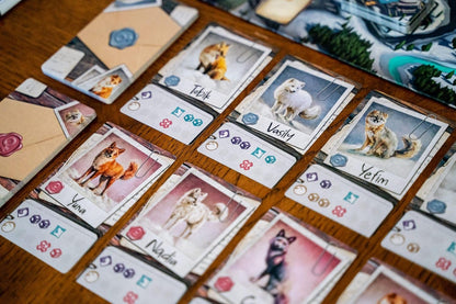 The Fox Experiment - Cats In Hat Inc.