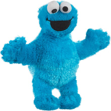Sesame Street: Friends Plush Cookie Monster
