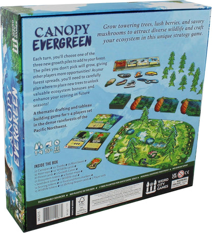 Canopy Evergreen