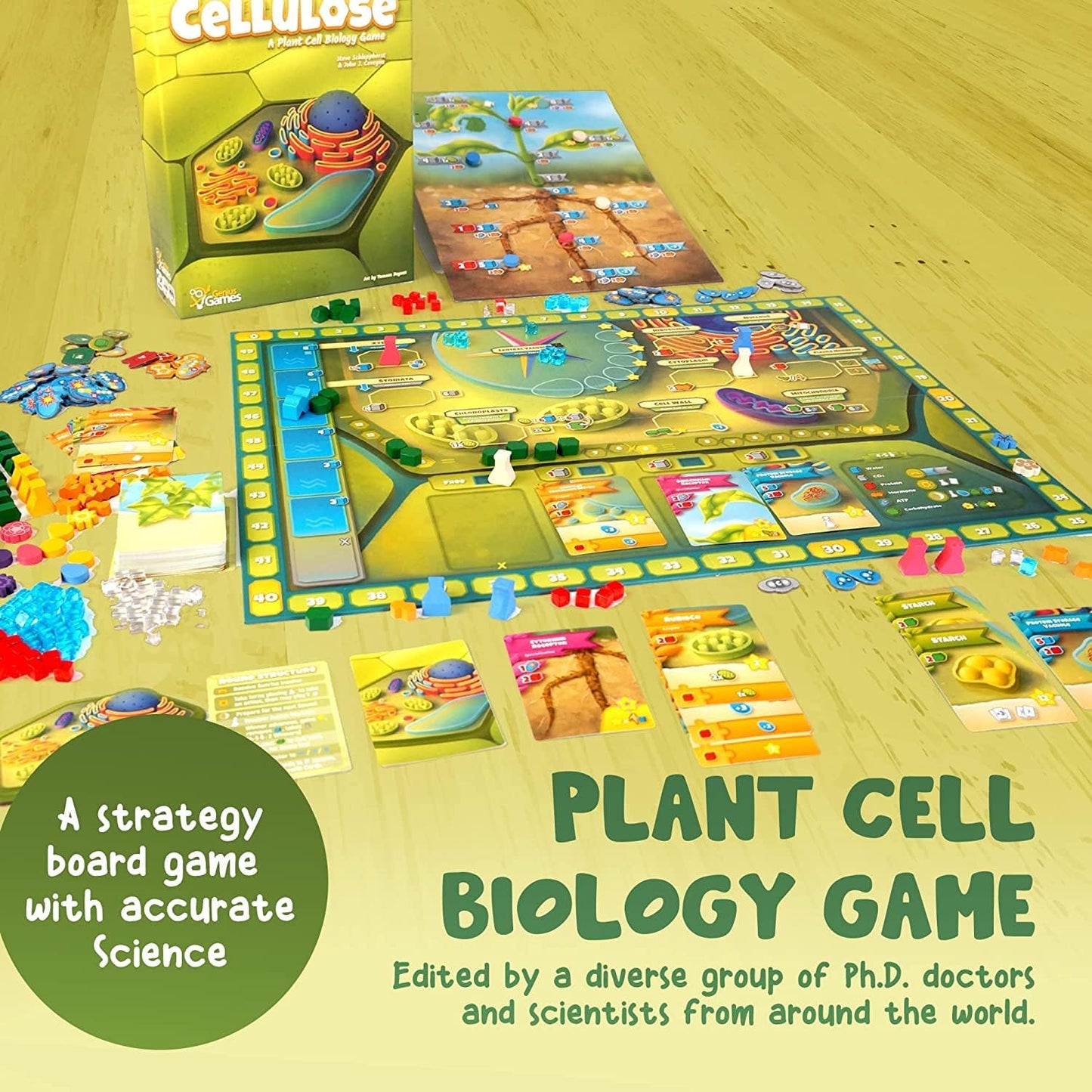 Cellulose: A Plant Cell Biology Game - Cats In Hat Inc.