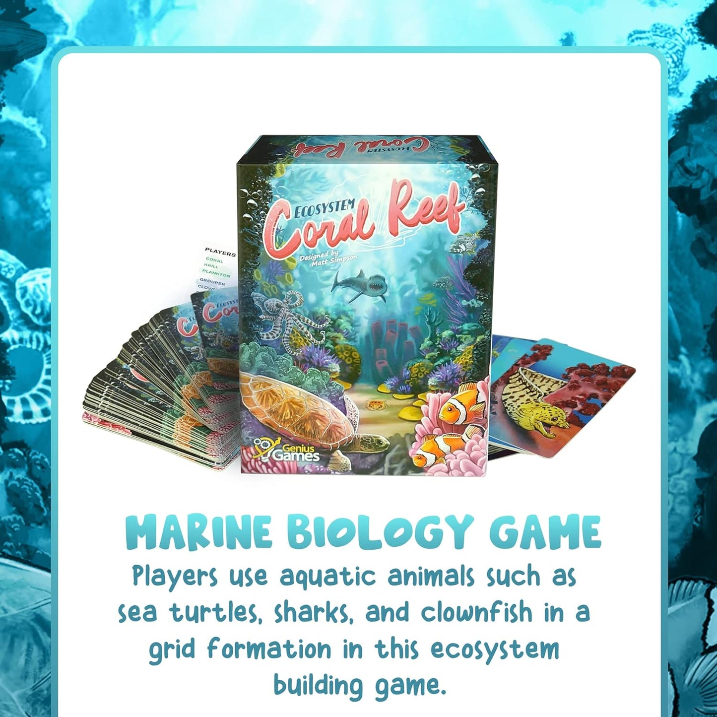 Ecosystem: Coral Reef - Cats In Hat Inc.
