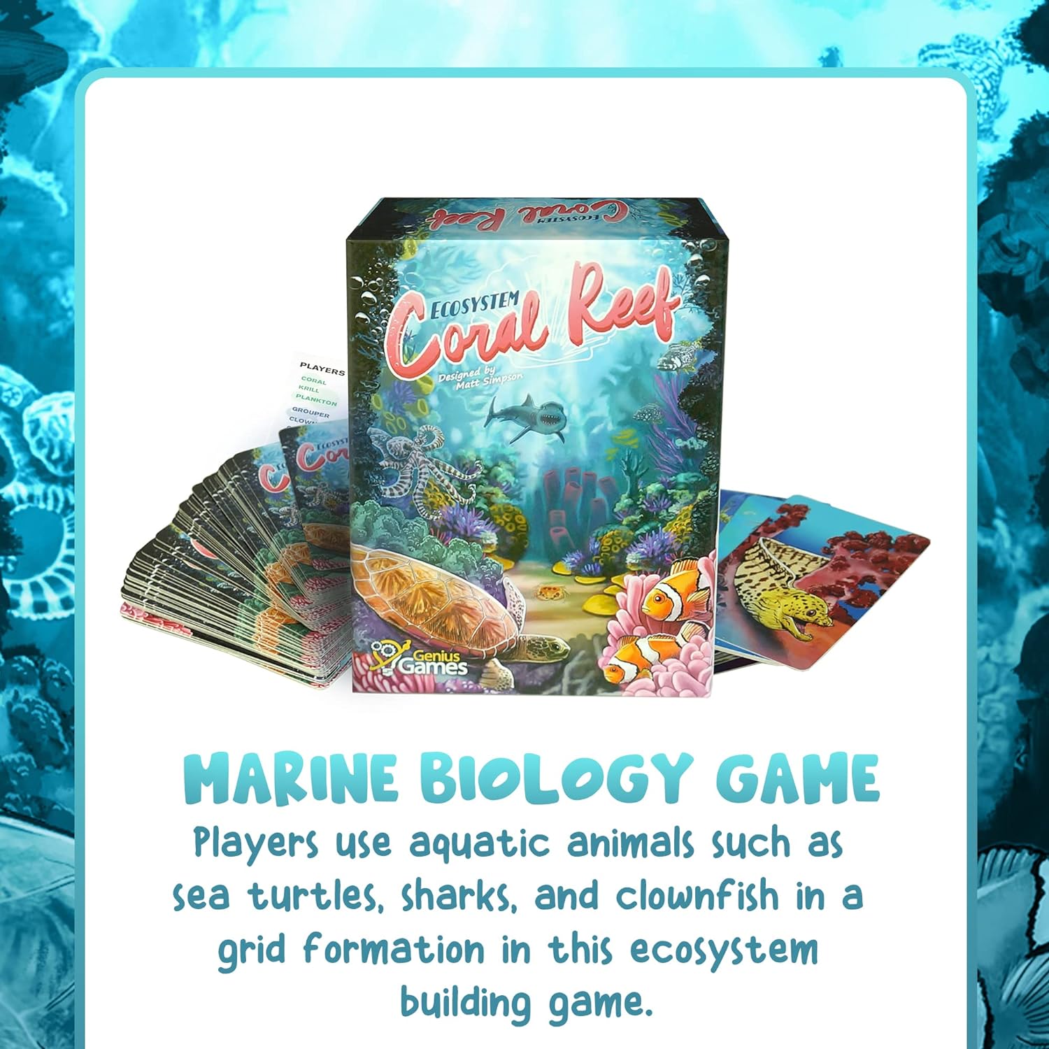 Ecosystem: Coral Reef