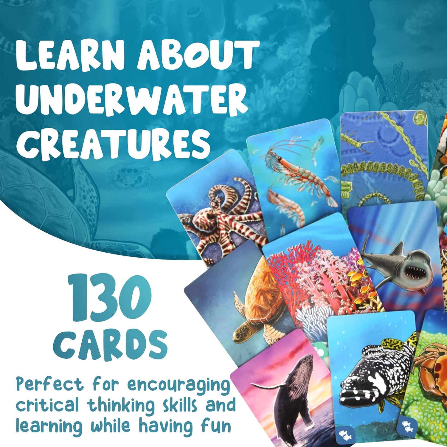 Ecosystem: Coral Reef