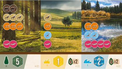 Cascadia: Rolling Hills