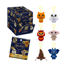Funko Pop! Plush Keychain Harry Potter - Mystery Mini Harry Potter