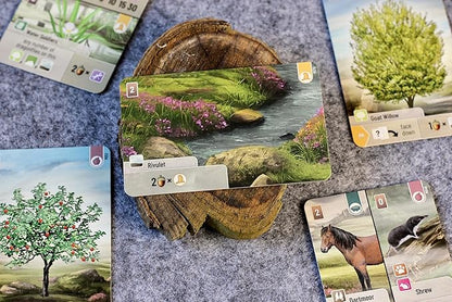 Forest Shuffle: Dartmoor Expansion