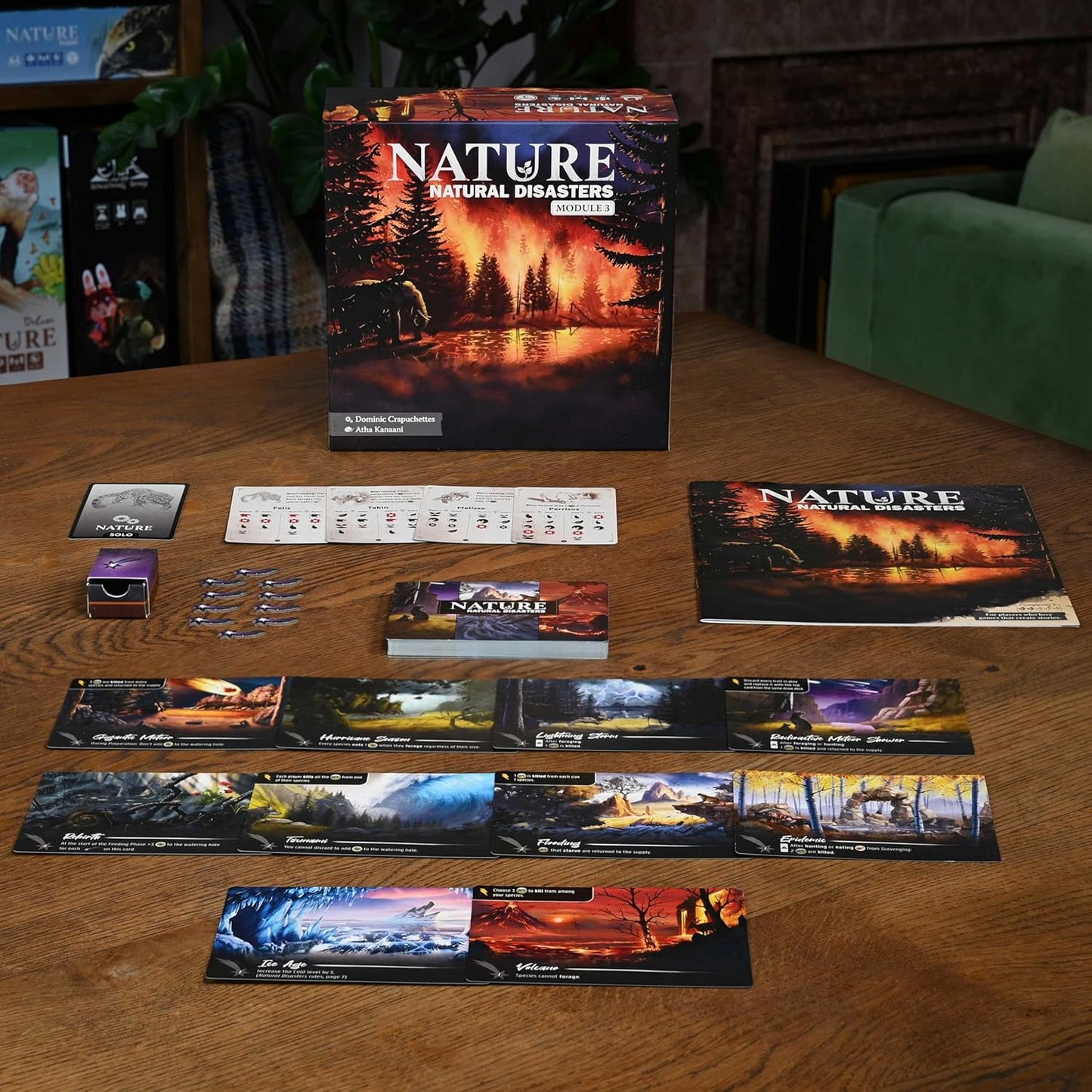Nature: Module 3: Natural Disasters Expansion