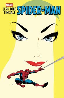 Jeph Loeb & Tim Sale Spider-Man