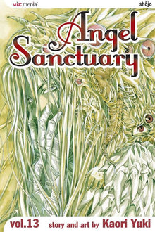 Angel Sanctuary Vol. 13