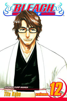 Bleach Vol. 12