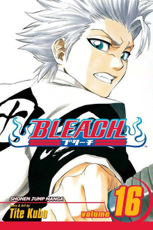 Bleach Vol. 16