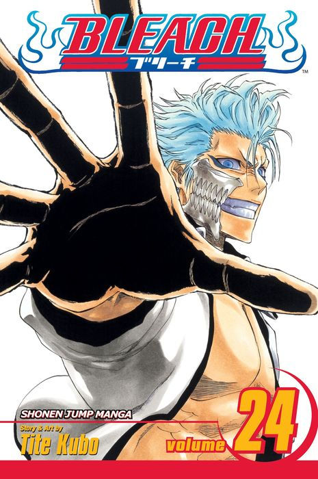 Bleach Vol. 24 [With Sticker]