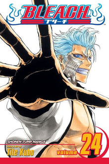 Bleach Vol. 24 [With Sticker]