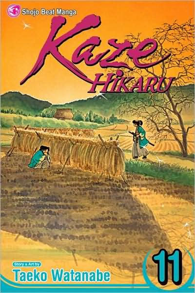 Kaze Hikaru Vol. 11