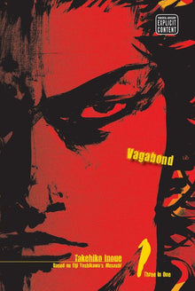Vagabond Vizbig Edition Vol. 1