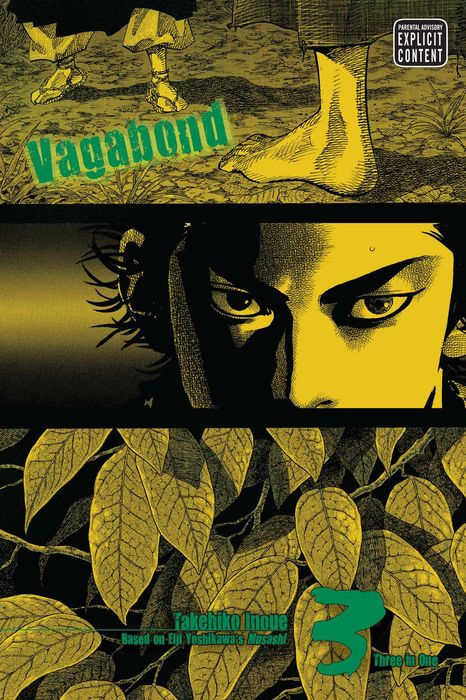 Vagabond Vizbig Edition Vol. 3