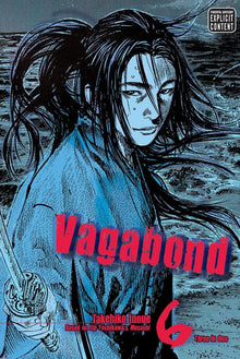 Vagabond Vizbig Edition Vol. 6