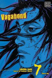 Vagabond Vizbig Edition Vol. 7