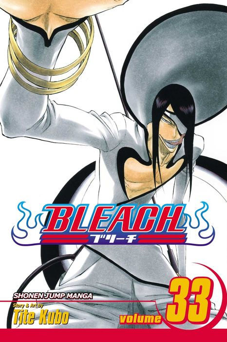 Bleach Vol. 33