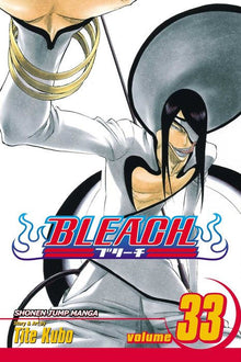 Bleach Vol. 33