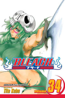 Bleach Vol. 34