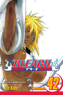 Bleach Vol. 42