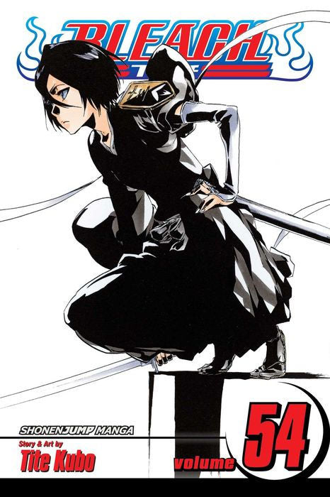 Bleach Vol. 54