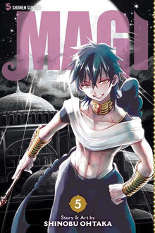 Magi The Labyrinth of Magic Vol. 5