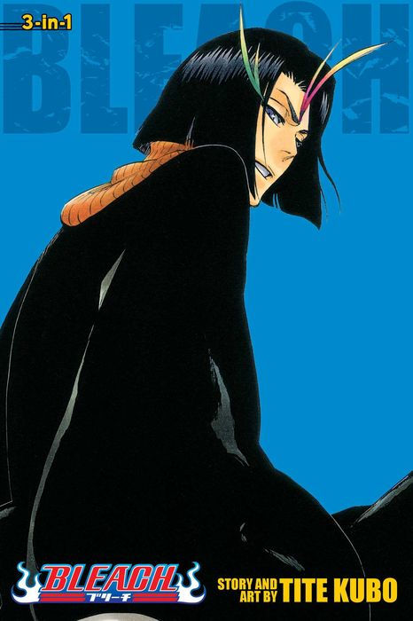 Bleach 3-In-1 Edition Vol. 13