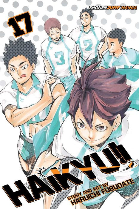 Haikyu Vol. 17