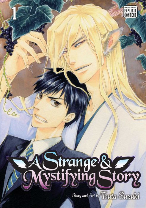 Strange & Mystifying Story Vol.1