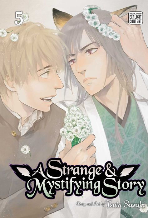 Strange & Mystifying Story Vol.5