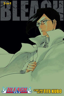 Bleach 3-In-1 Edition Vol. 24
