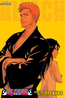 Bleach 2-In-1 Edition Vol. 25